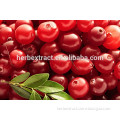 Cranberry extract proanthocyanidins,Natural extracts Cranberry Extract 5%, 15%, 25%, 30%, 50% Proanthocyanidins/Anthocyanins